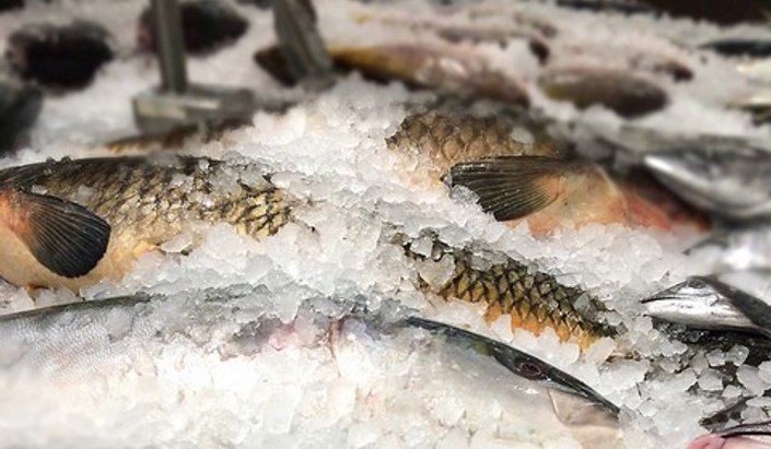 Seafood HACCP