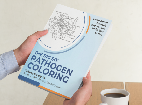 Big Six Coloring